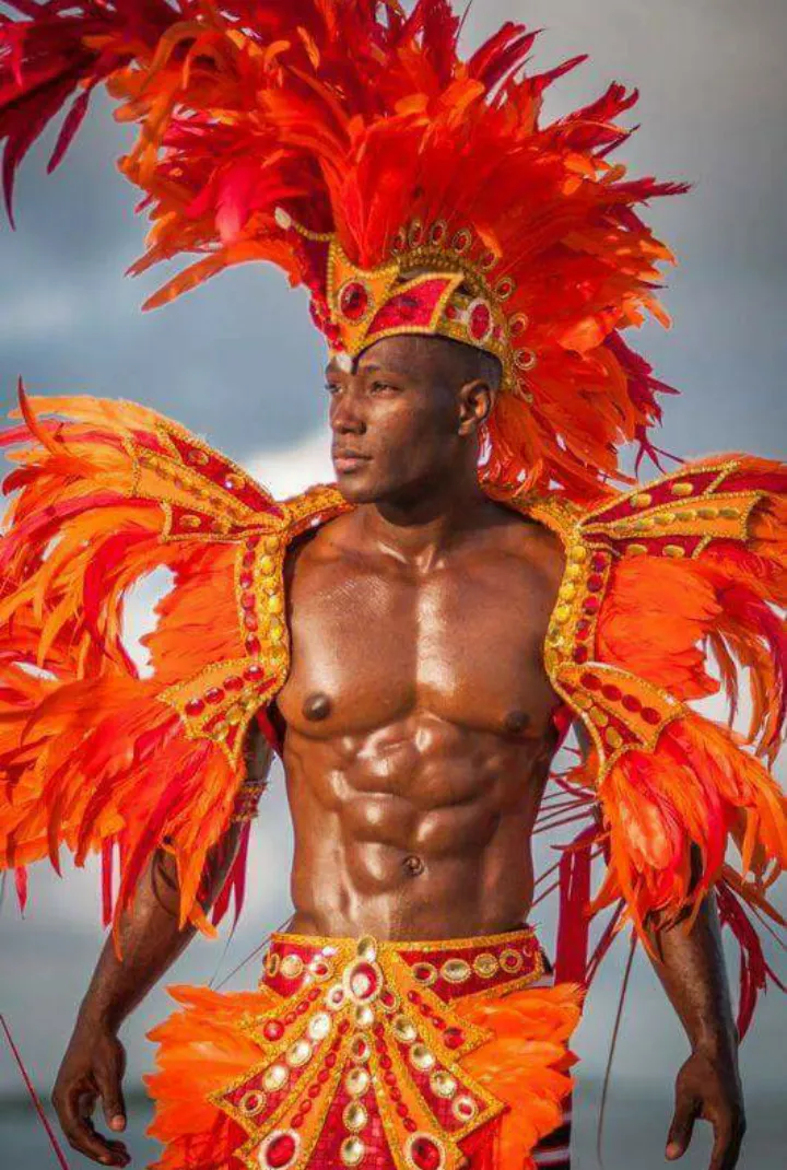 Images de Carnaval - Martinique - Guadeloupe