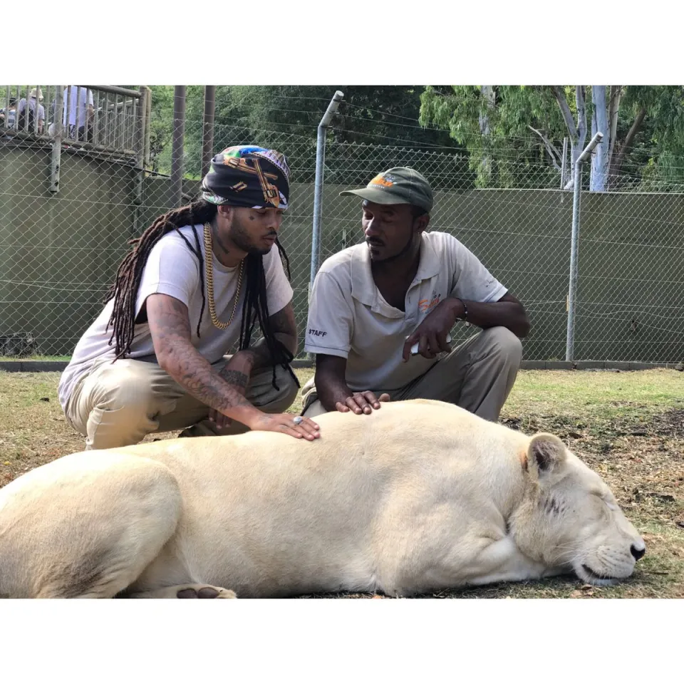Kalash et les lionnes