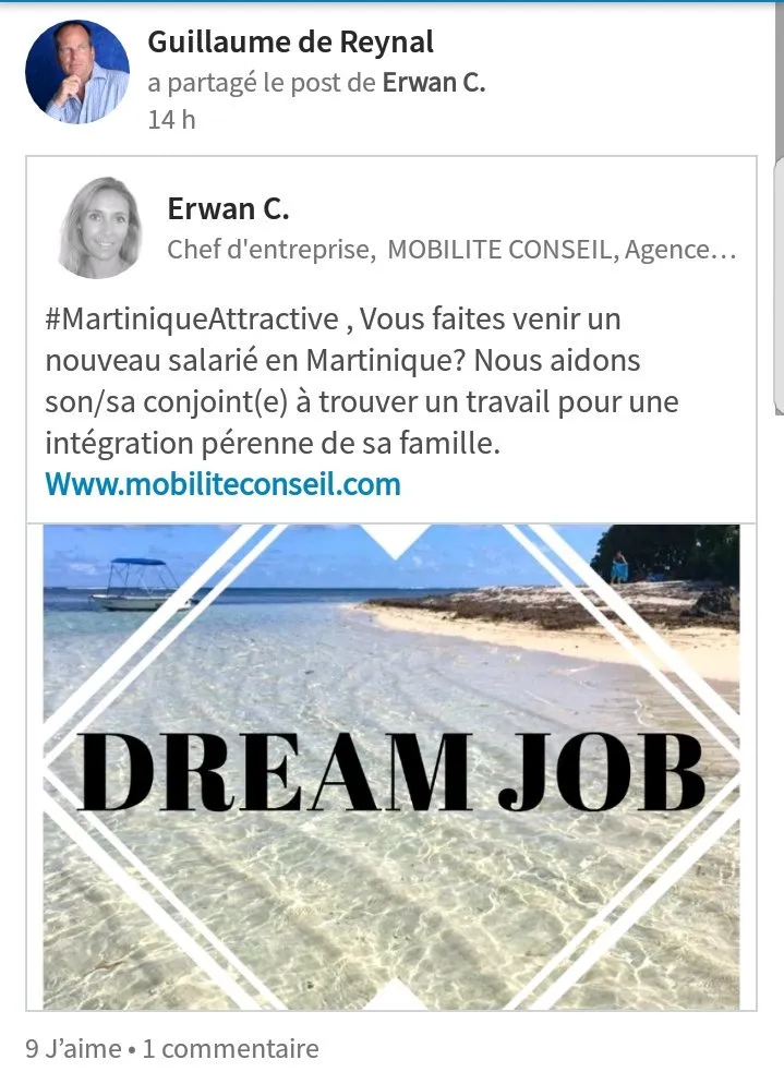 Et si nous rendions la Martinique Attractive ? Et si nous foutions les nègres dehors ? Et si on s'y mettait ?