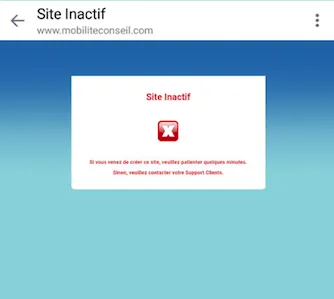 Bizarre...Mobilité Conseil...le site qui veut blanchir la Martinique est inactif...C'est bizarre