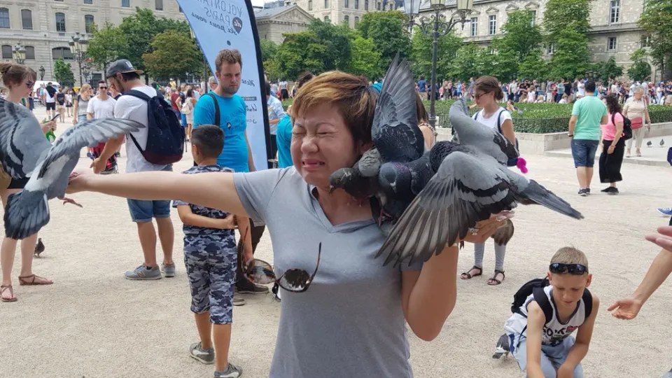 L'image du jour 19/06/17 - Paris