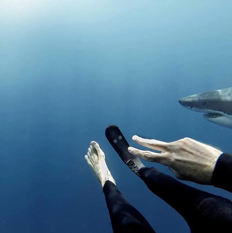 Survivant d'une attaque, défenseur des requins (photo)