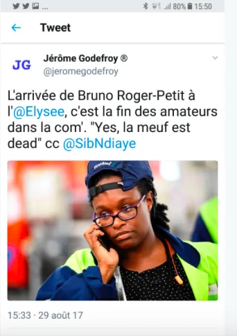 France : le tweet le plus puant de l'année 2017