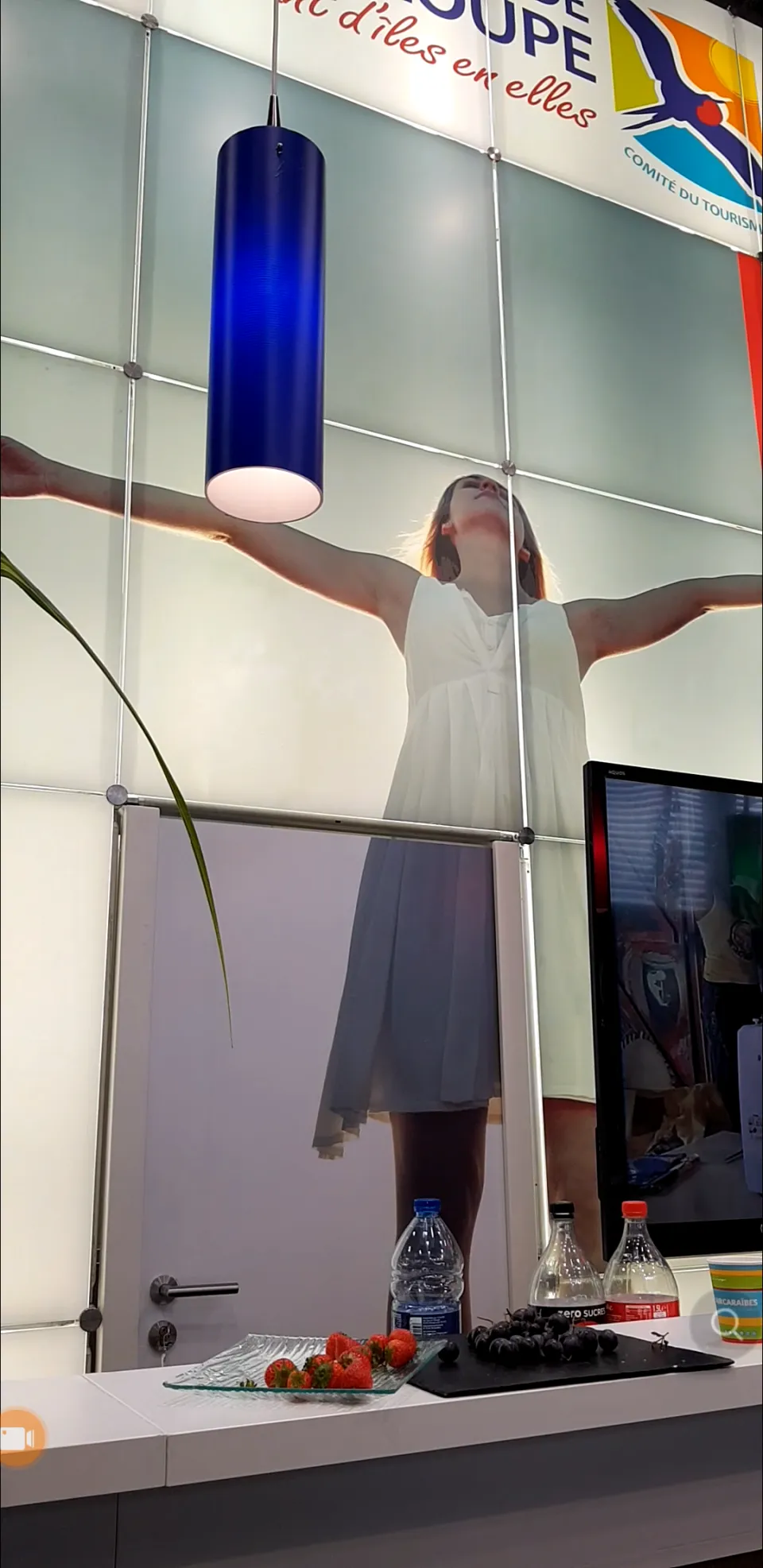 Quand la Guadeloupe de Ary Chalus dit AWA à Colbert...