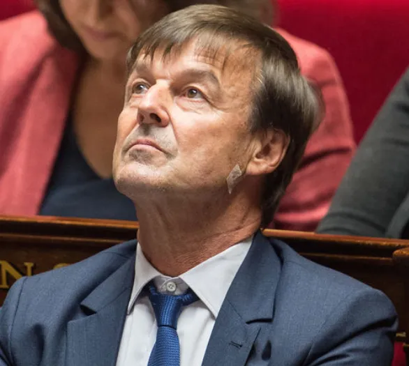 A quoi sert Nicolas Hulot au sein du gouvernement français ?