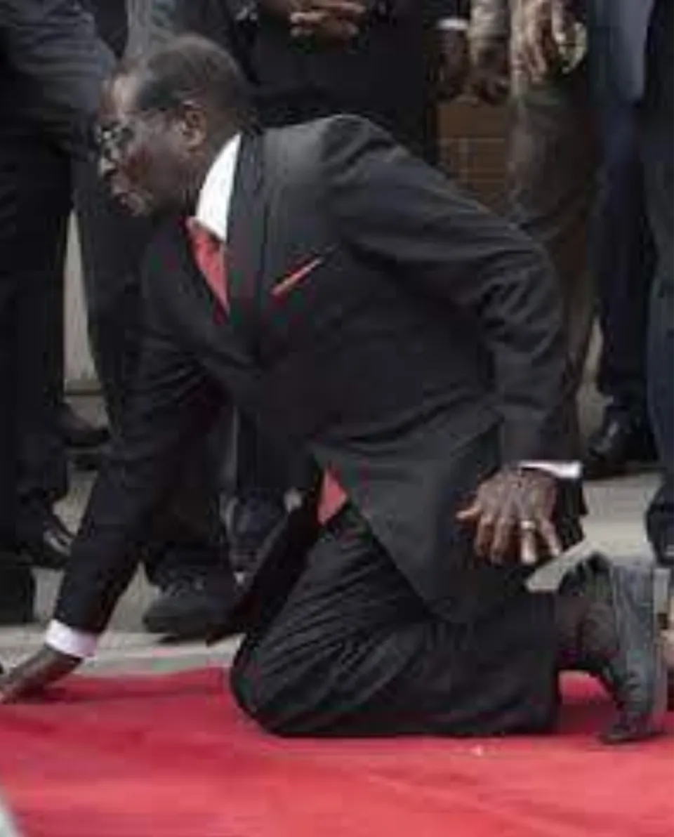 L'image du jour 21/11/17 - Robert Mugabe