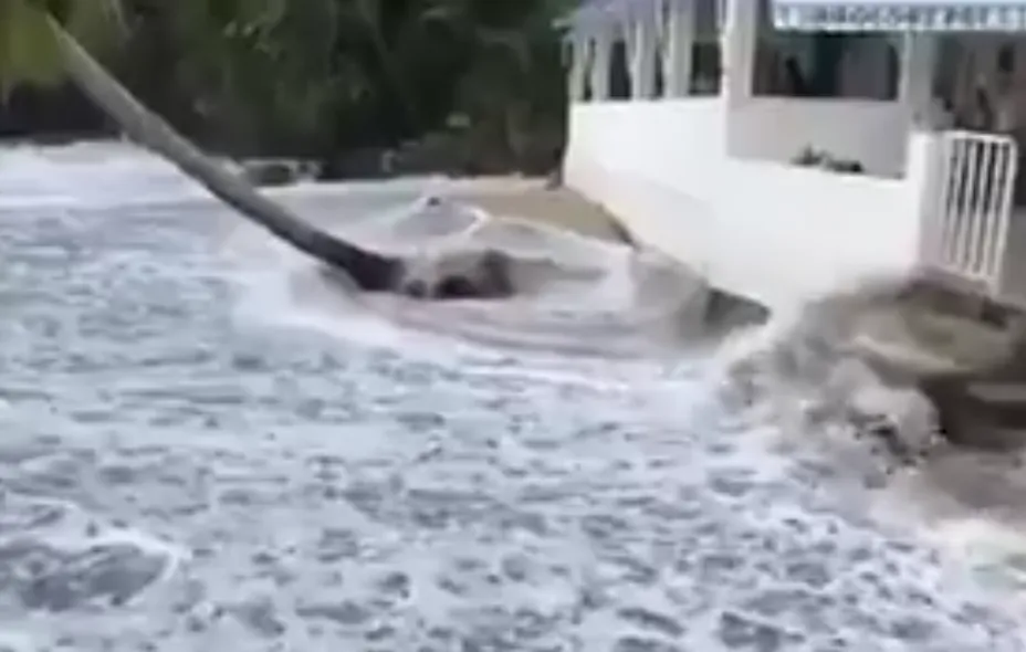 Forte houle à l'Anse Dufour en Martinique