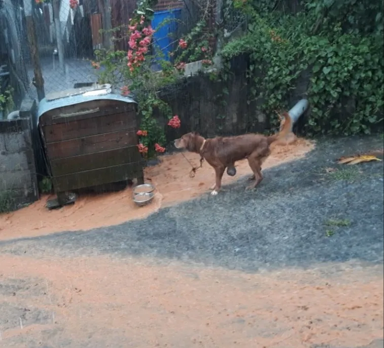 La Martinique sous les eaux