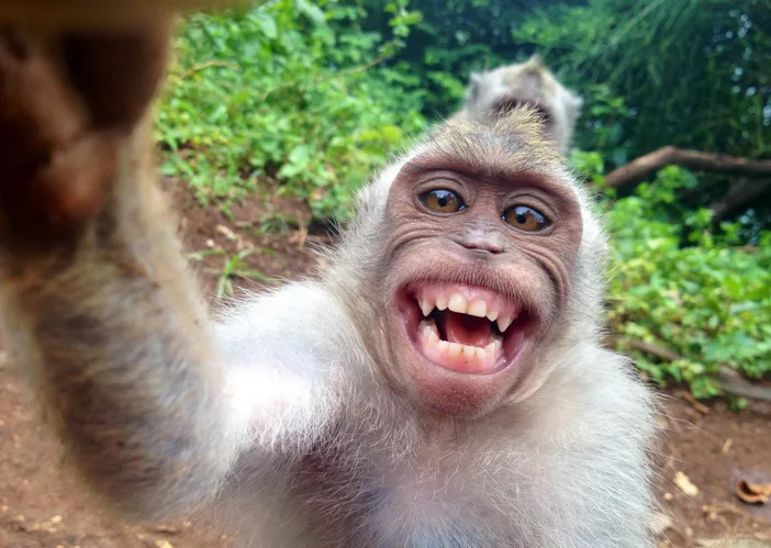 Voici ce qui se passe quand vous postez un selfie sur Facebook...