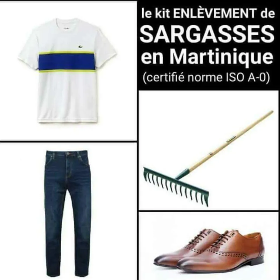 🎶🎶🎵🎵Sargasses Africa ambiance de la shoes...sargasses Africa🎶🎶🎵 attention les secousses