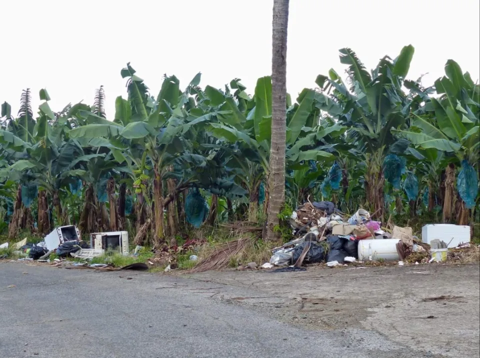 Les pollueurs sont des ordures - Martinique - Sainte-Marie - Musée de la Banane-