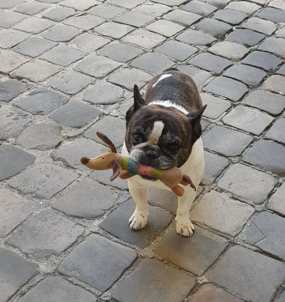 L'image du jour 28/06/18 - Belle rencontre...