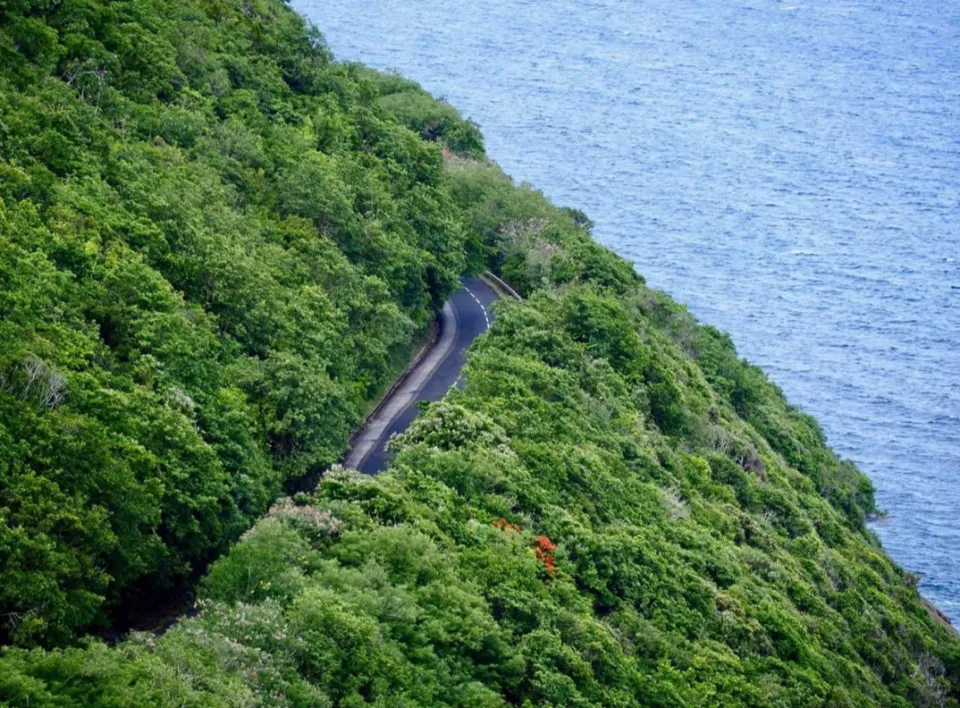 L'image du jour 31/07/18 - Martinique - Flamboyant