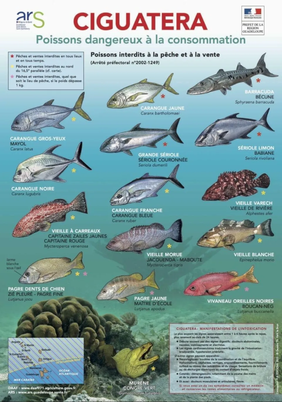 Entre poisons et poissons...pas étonnant que le corps déconne en Martinique et en Guadeloupe
