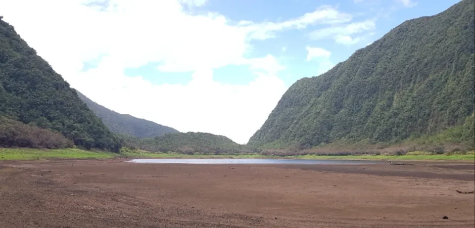 Images de l'île de La Réunion - Le Grand Étang - (photos/vidéos)
