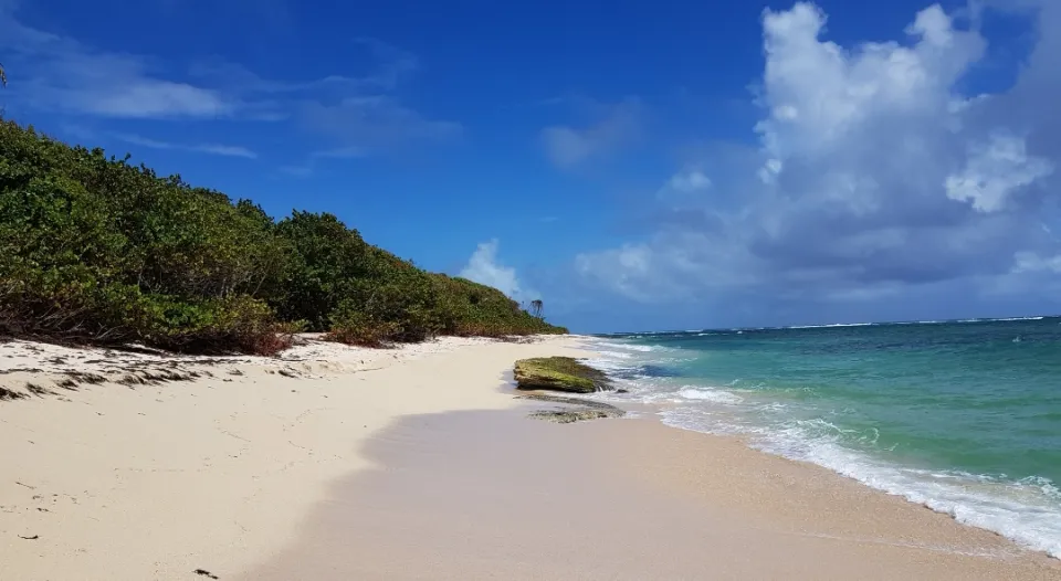 Images de la Martinique - Plage de Cap Macré au Marin (Photos et Vidéos)
