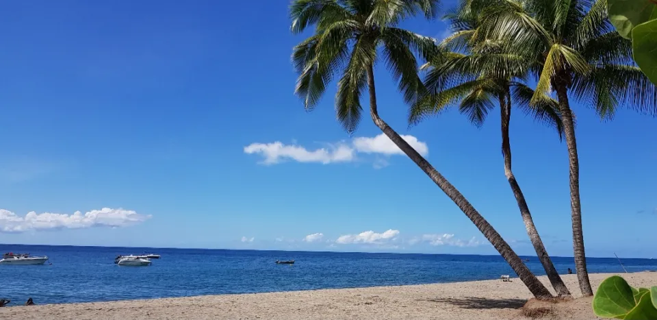 Images de la Martinique - La plage du Carbet