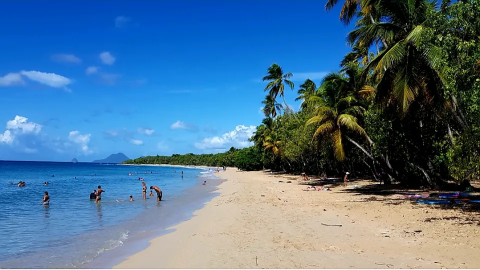 L'image du jour 02/11/18 - Martinique - Plage des salines