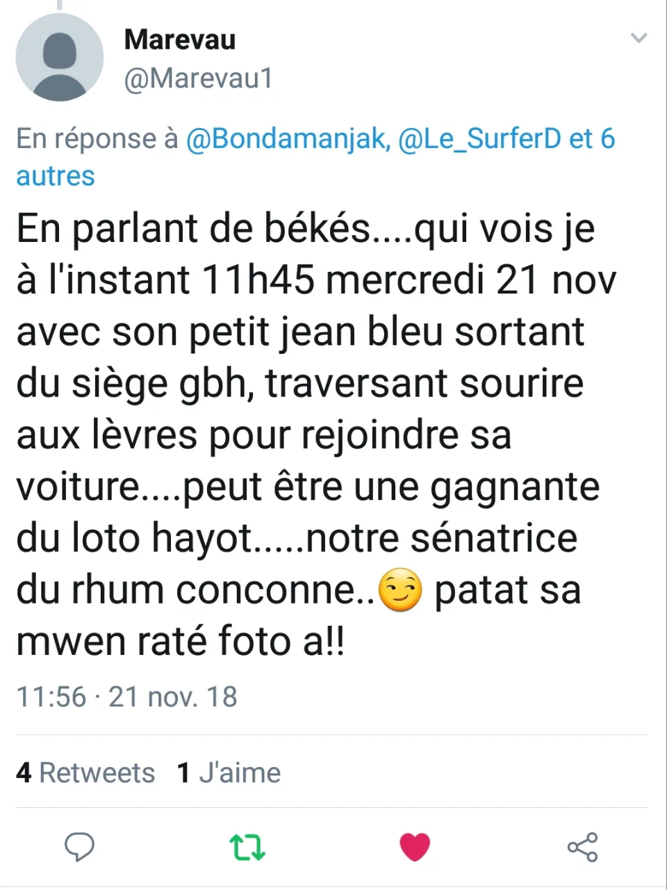 Le tweet du jour 21/11 /18 - Catherine Conconne - Martinique