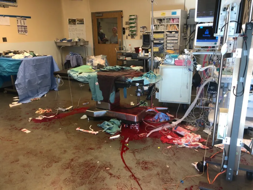 USA : Les médecins tweetent la réalité de la violence par armes