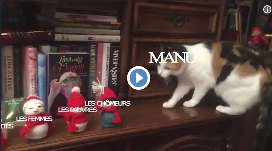 L'année 2018 d'Emmanuel "Manu" Macron 😂