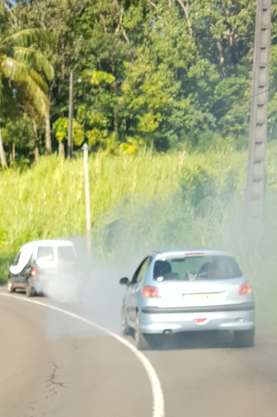 Les pollueurs sont des ordures - Martinique