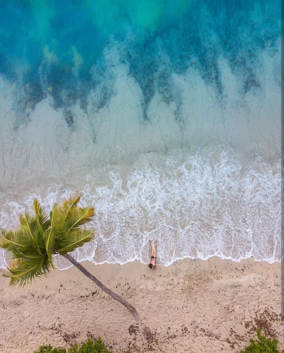 L'image du jour 19/01/19 - Martinique- Plage des salines
