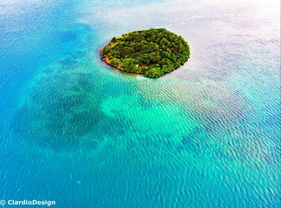 L'image du jour 30/01/19 - Martinique