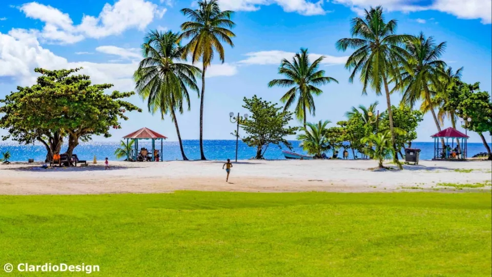 L'image du jour 03/02/19 - Anse figuier - Martinique