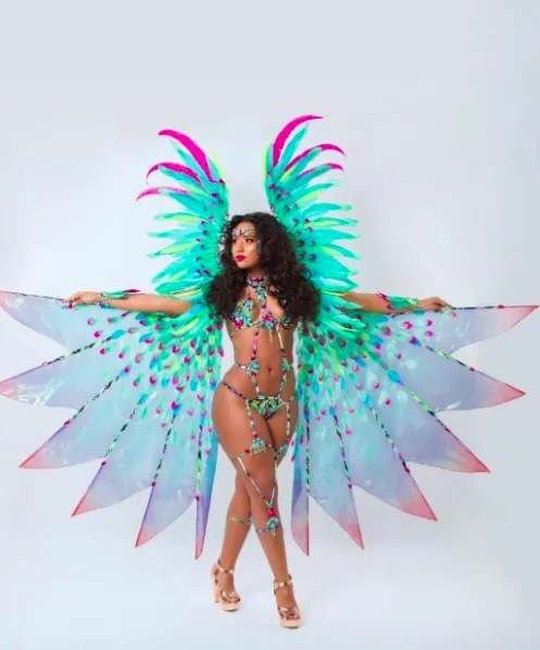 Carnaval 2019...c'est parti