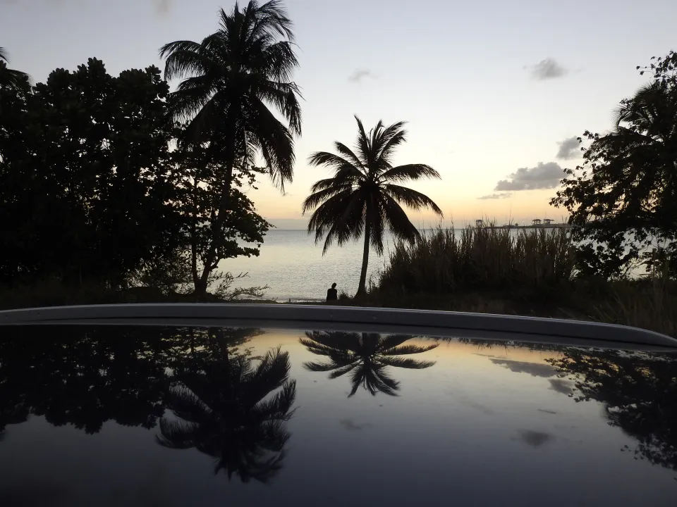 L'image du jour - 31/03/19 - Martinique
