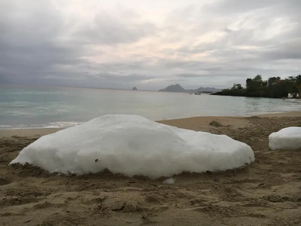 Des blocs de glace sur la plage de l'Anse figuier en Martinique...