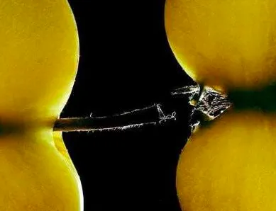 Harcèlement sexuel à Martinique 1ère...ça sent la raie