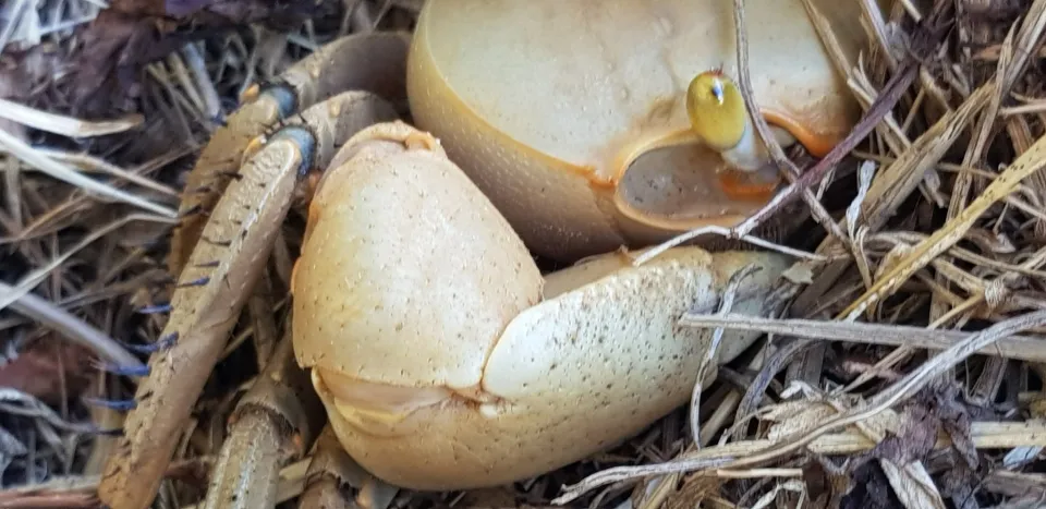 "T'inquiète...je suis BIO au coeur de la BIOSPHÈRE et de la BIODIVERSITÉ en Martinique et en Guadeloupe"
