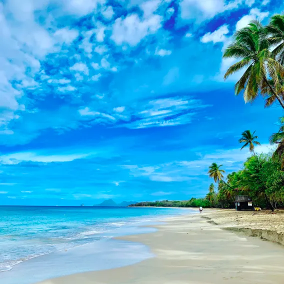 Martinique : la plage des salines est en vigilance orange