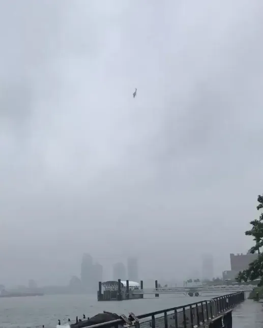 Un hélico se crash sur un toit de New-York (vidéo)