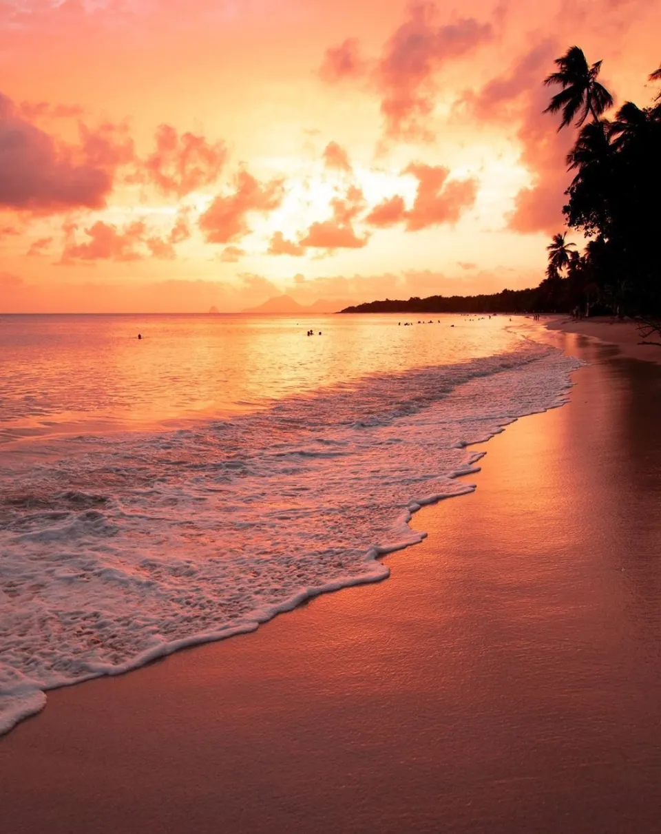 L'image du jour 28/08/19 - Plage des salines - Martinique