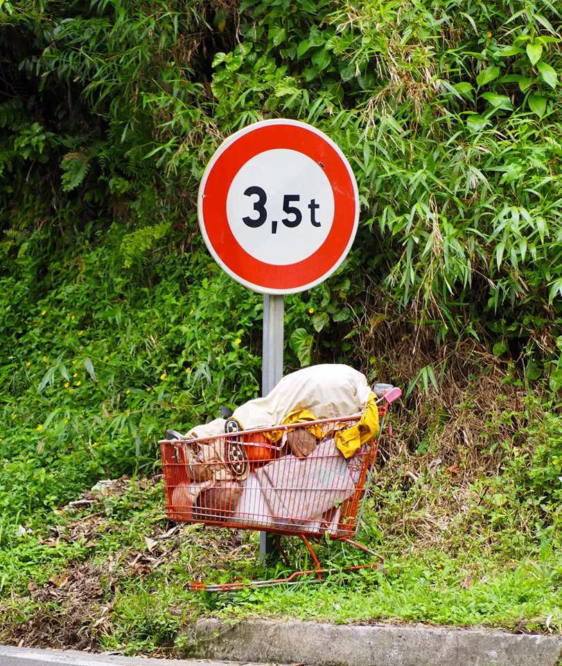 L'image de l'année 2019 en Martinique