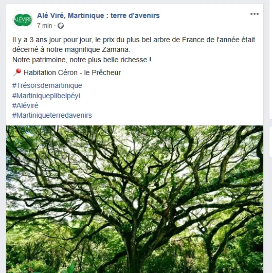 Martinique : eh oui...Catherine Conconne ne sera JAMAIS agrégée d'histoire...