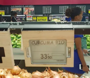 En France les agresseurs sexuels aiment le cumin...en Martinique Bernard Hayot aime le curcuma