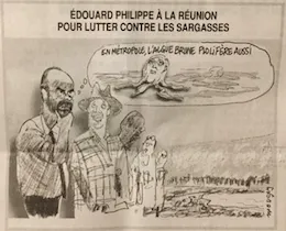 Selon le Canard Enchaîné il y a des algues sargasses à l'île de La Réunion 😳😳 😜😜😜🤣🤣😁😁