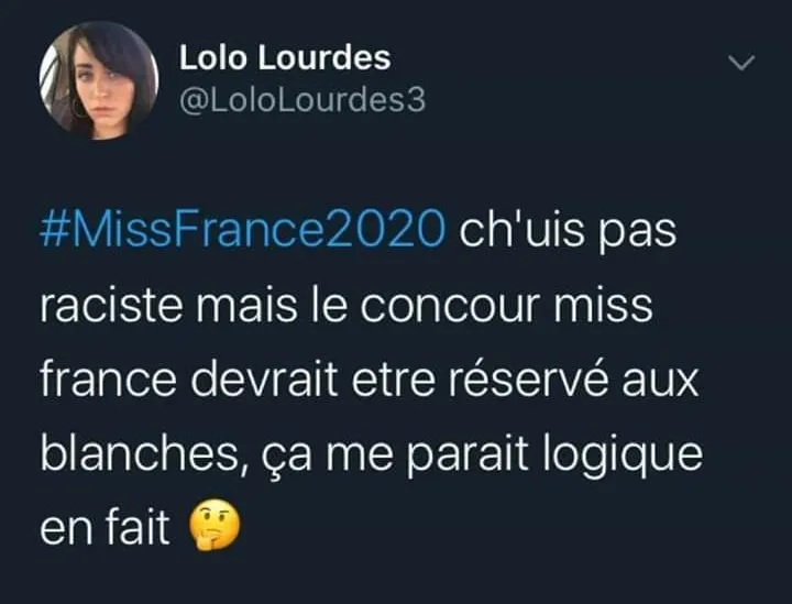 Clémence Botino est la  Miss France 2020...et pendant ce temps-là en France ça tweete ça...