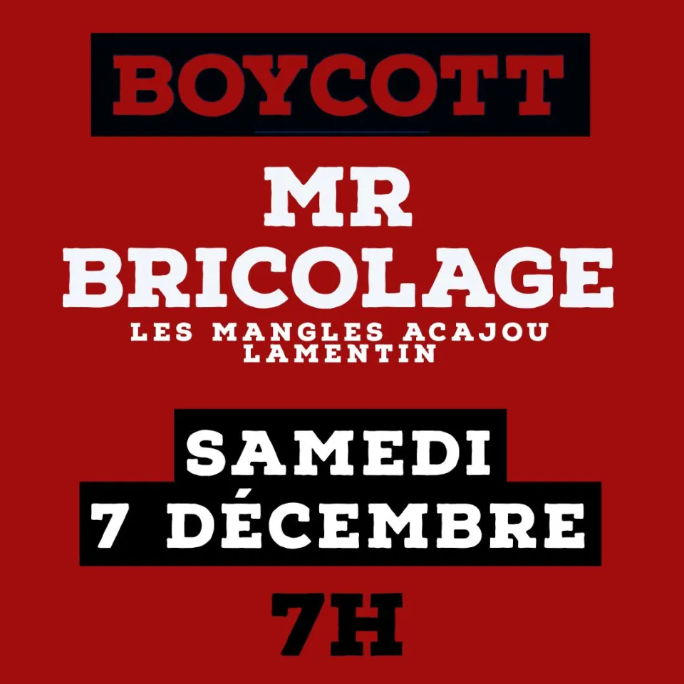 Mr Bricolage. Faites-le vous-même, mais pas tout seul...
