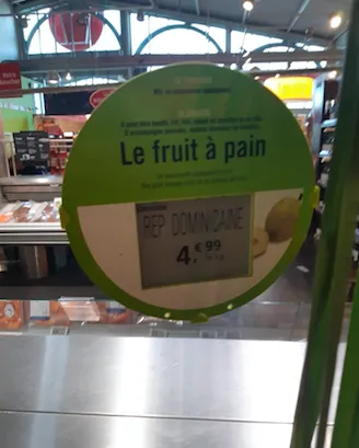 La République Dominicaine exporte des fruits à pain en France...en Martinique les politiques se grattent les graines