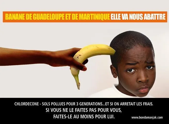Image du jour (13 janvier 2020)