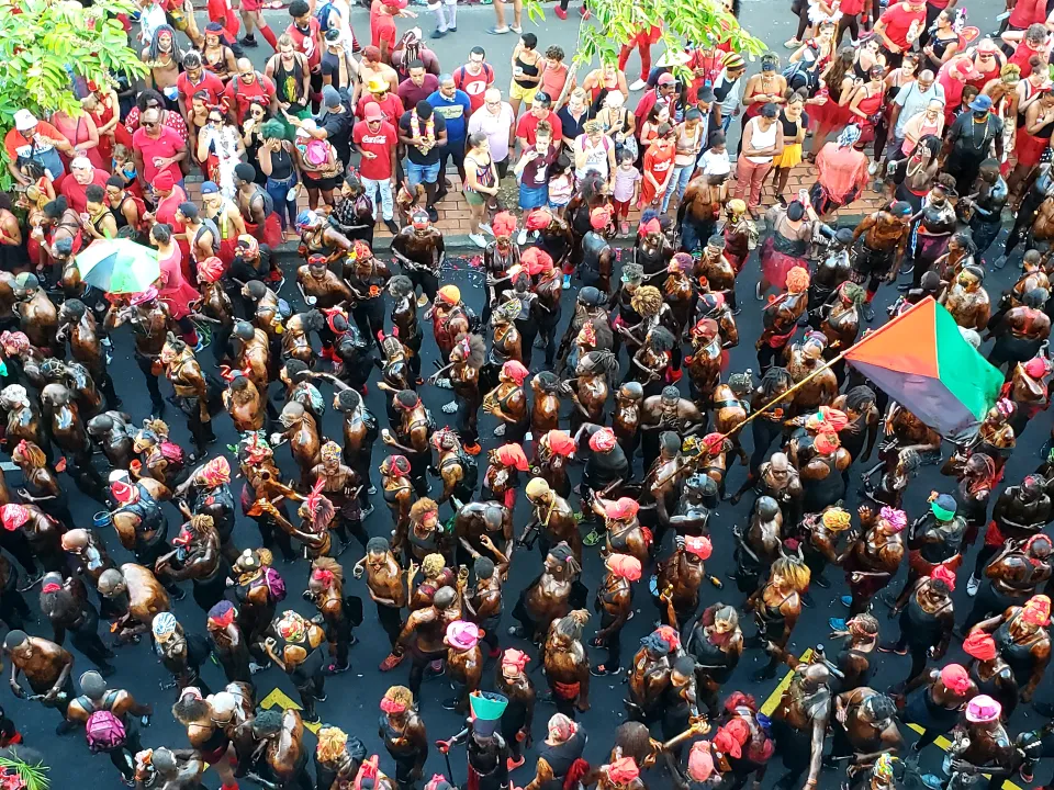 Image du jour 25/02/20 - Carnaval - Martinique