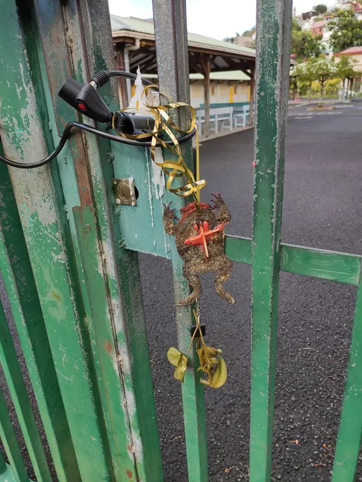 Municipales 2020 en Martinique : le quimbois démarre fort à Saint-Joseph