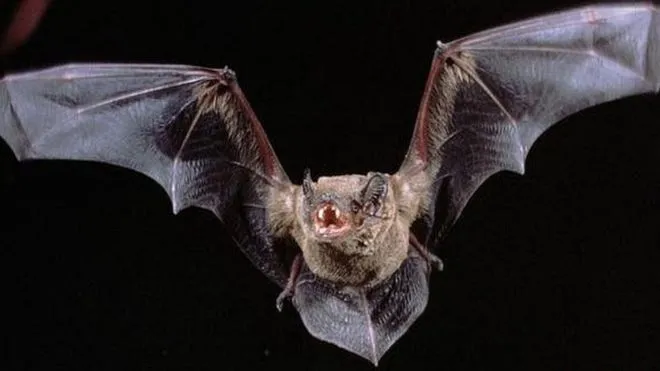Le Coronavirus va-t-il entrainer un crash boursier lundi ?
