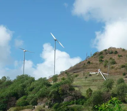 Découverte de trois débroussailleuses géantes en Martinique