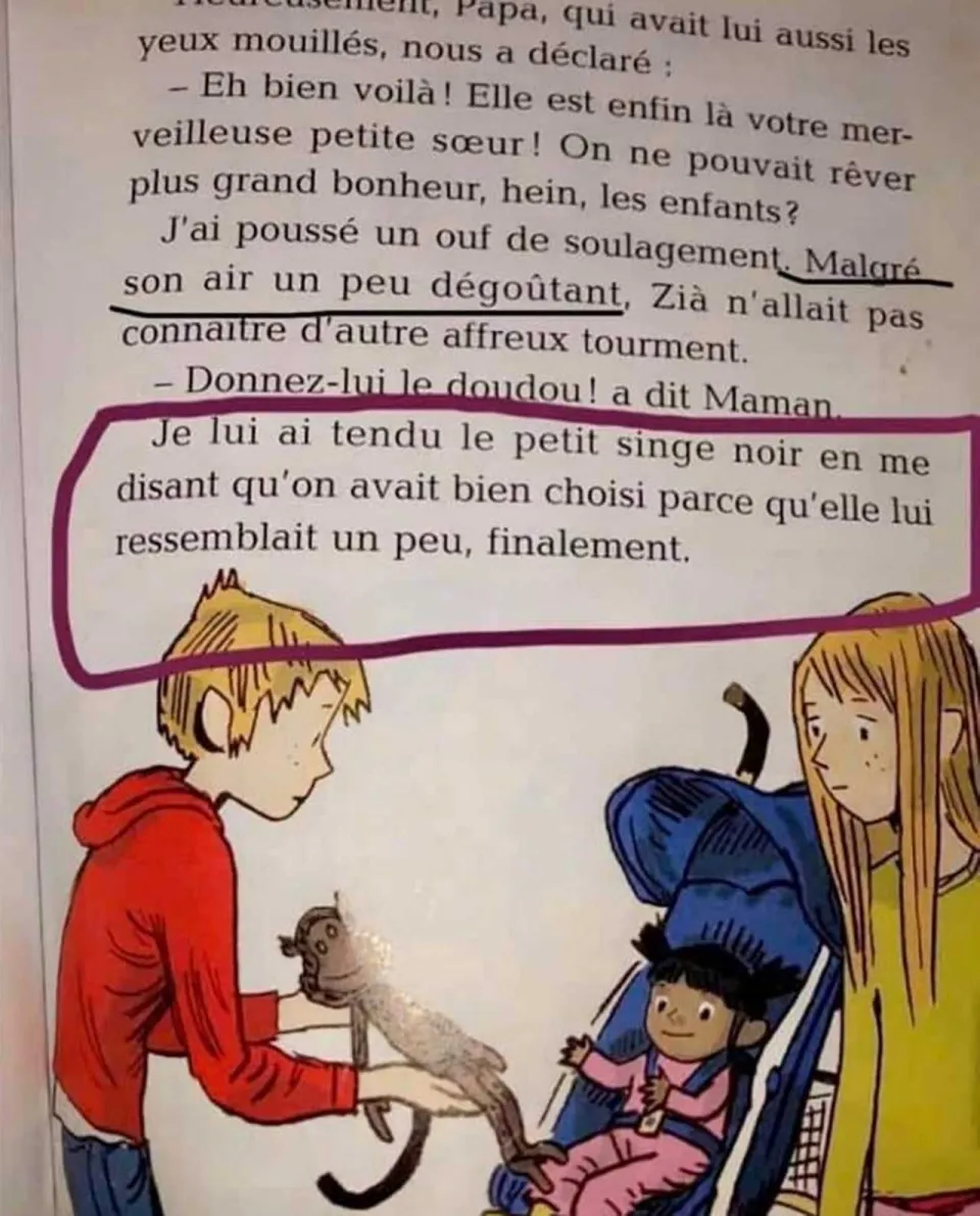 La planète des singes. Racisme ordinaire en 2020.
